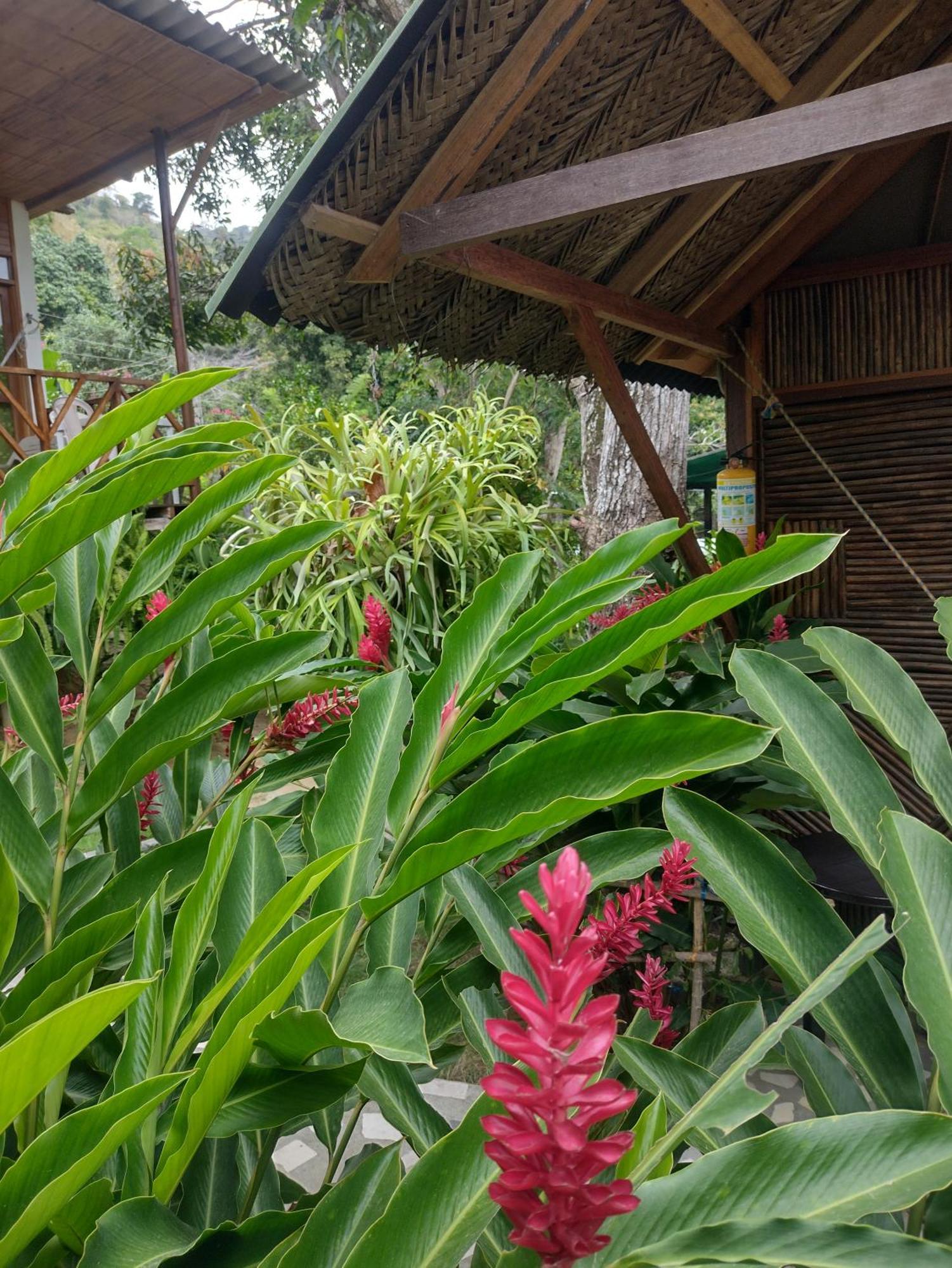 Casa Kumake Tayrona El Zaino Exterior foto